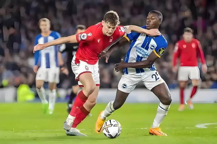 耶茨与曼加, secti